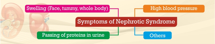 Remedy for Nepthrotic syndrome