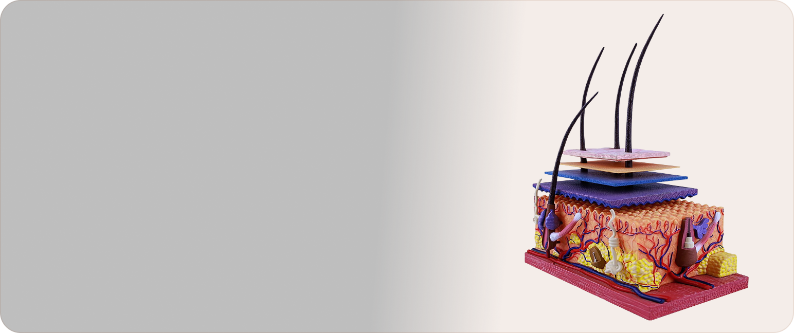 Alopecia Areata homeopathy treatment