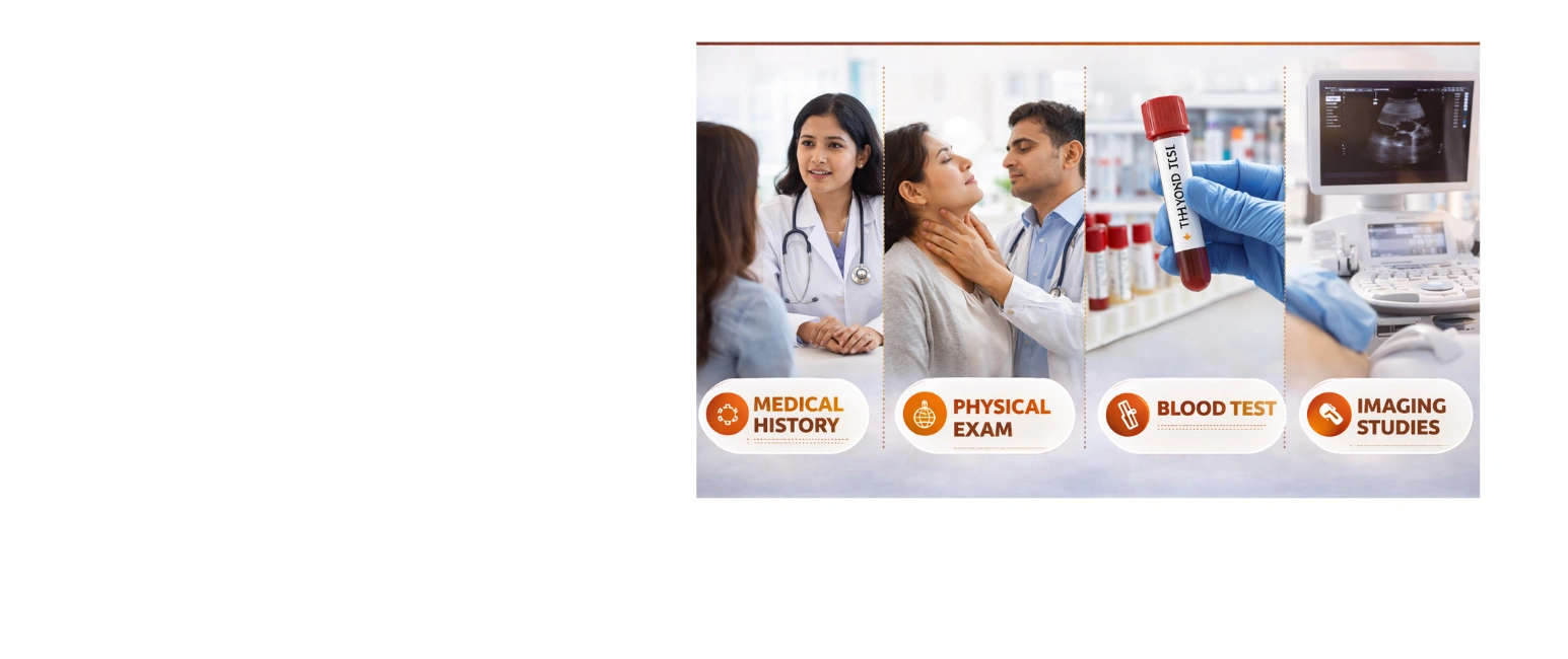 Thyroid function testing process