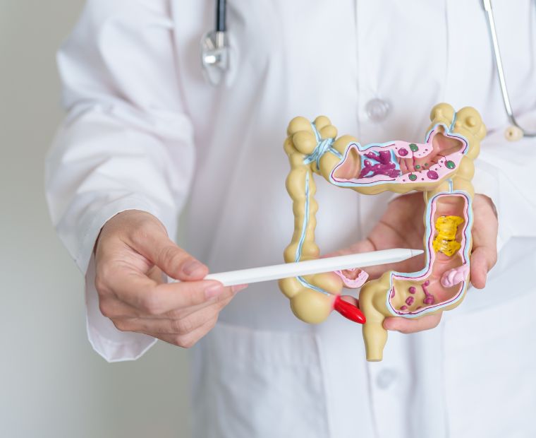 Our Experience in Irritable Bowel Syndrome