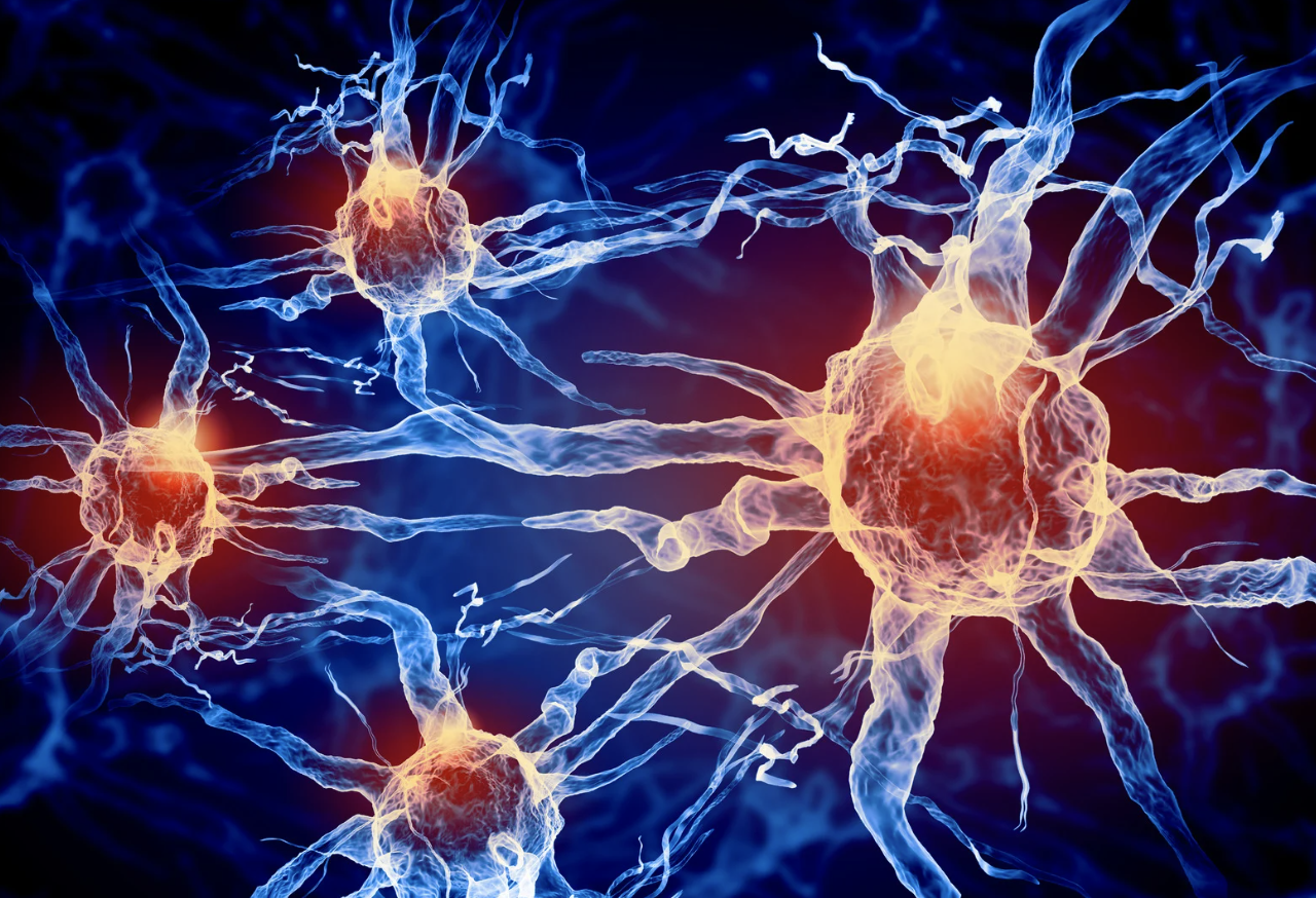 Trigeminal Neuralgia mechanism