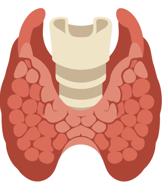 scope of improvement