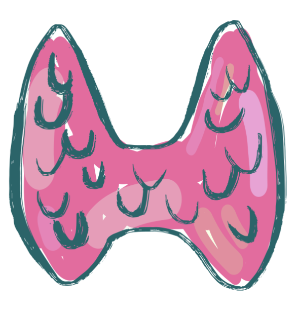 Prevalence of thyroid