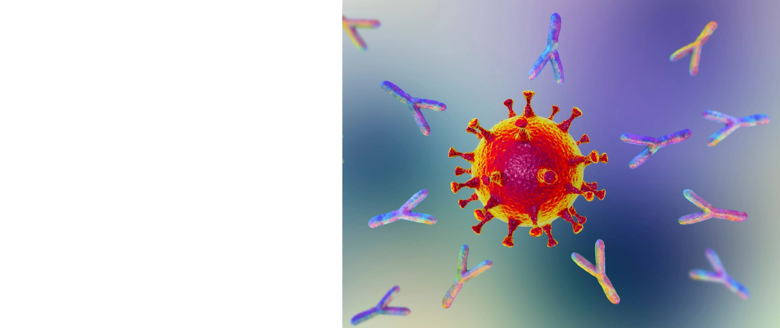 Urticaria immune response mechanism