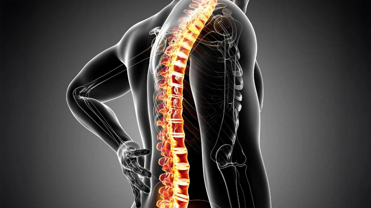 Inflamed spine highlighting chronic back pain