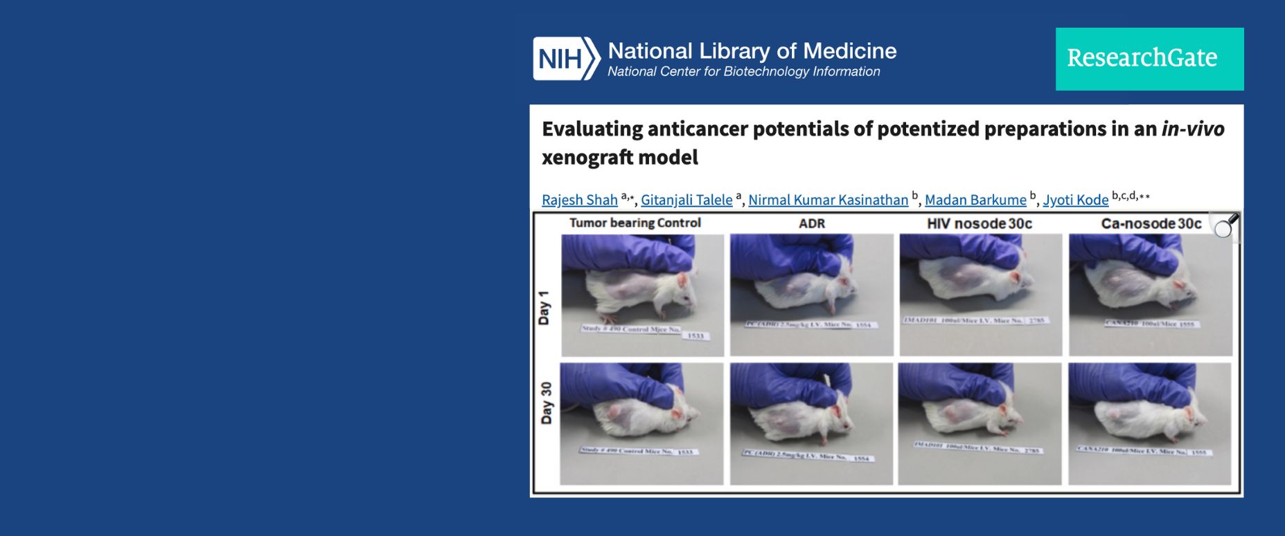 Cancer tumore regression