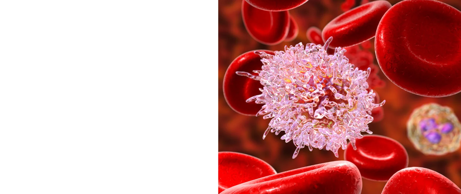 Cancer cell in bloodstream surrounded by red blood cells