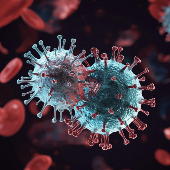 bacteria virus