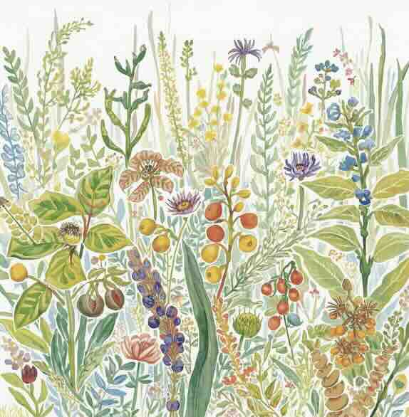 plant products in homeopathy