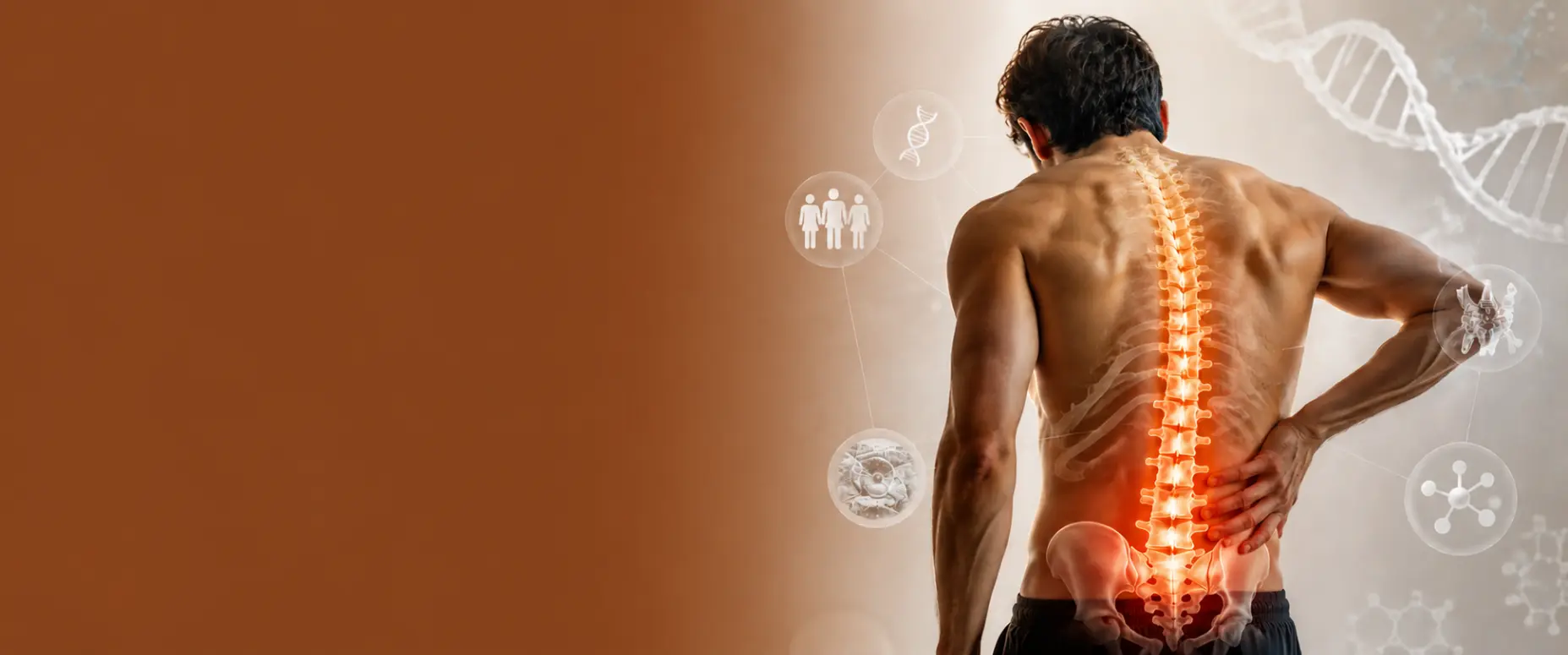 Man with highlighted inflamed spine illustrating the causes of ankylosing spondylitis on a medical hero banner.