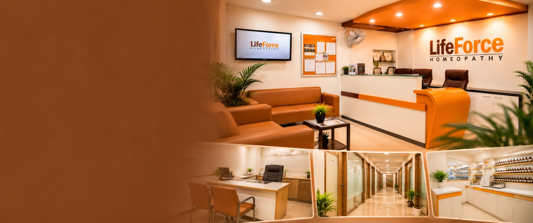 Life Force Homeopathy clinic reception and modern healthcare facilities